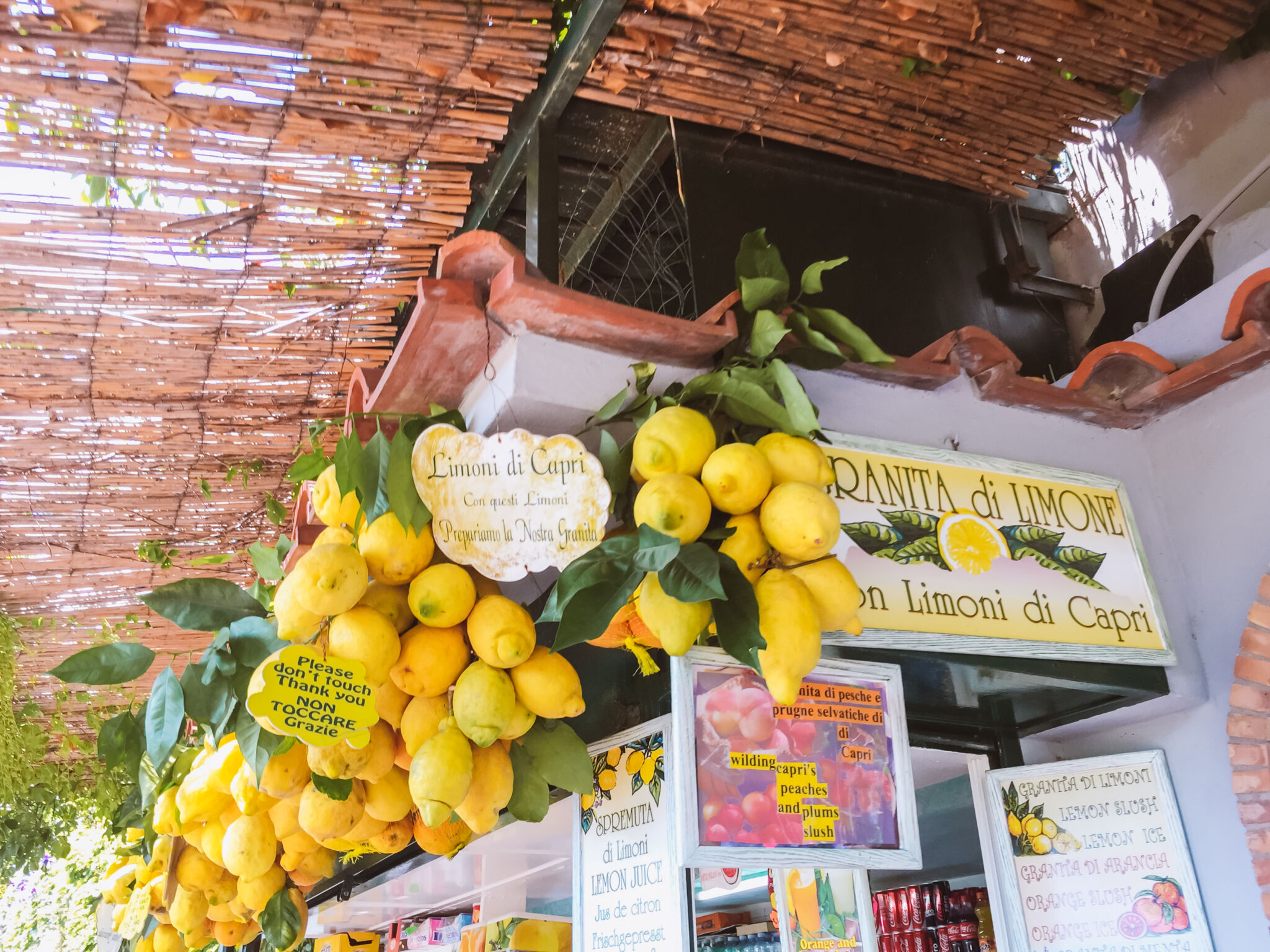 choses incontournables capri